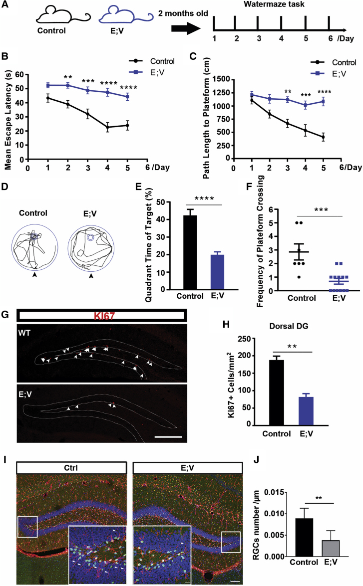 Figure 6