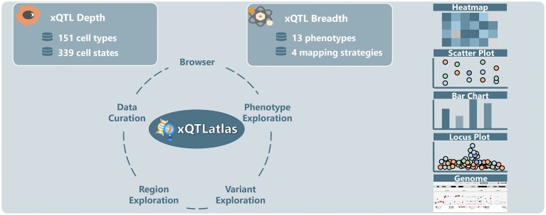 Graphical Abstract