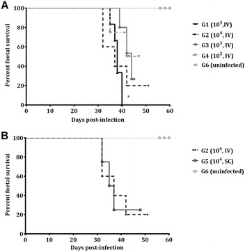 Figure 1