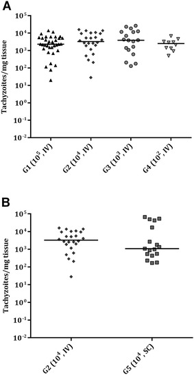 Figure 5