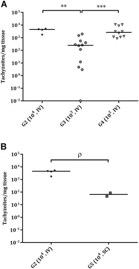 Figure 6