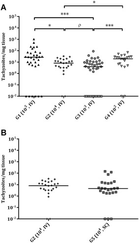 Figure 7