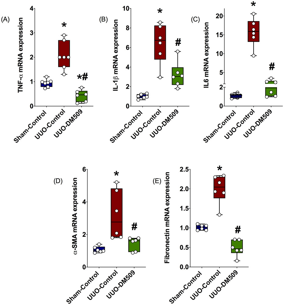 Fig. 2: