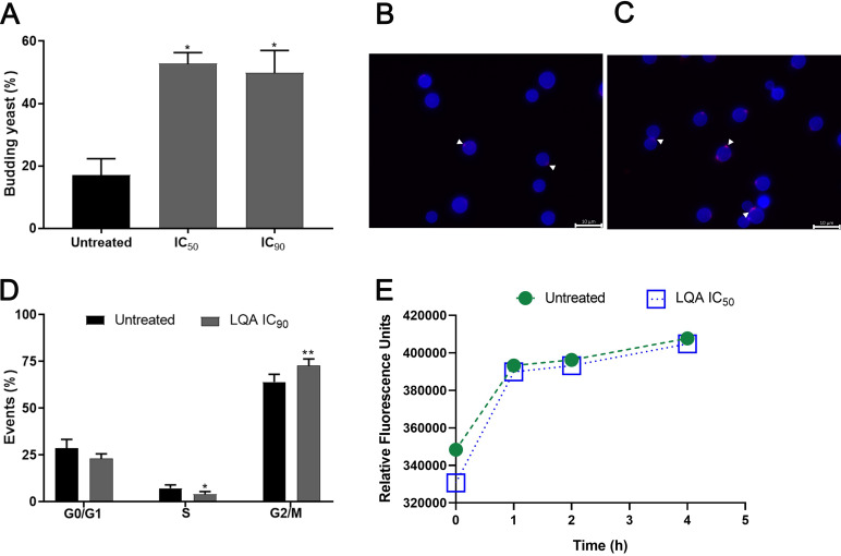 FIG 2