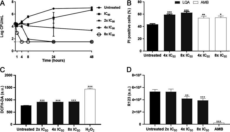 FIG 6