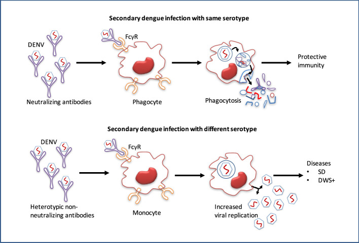 Figure 6