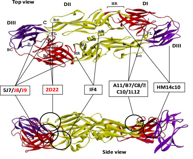 Figure 5