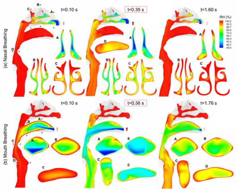 Figure 7: