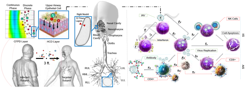 Figure 1: