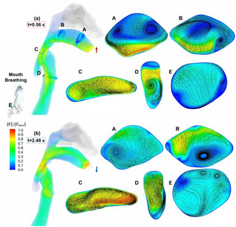 Figure 6: