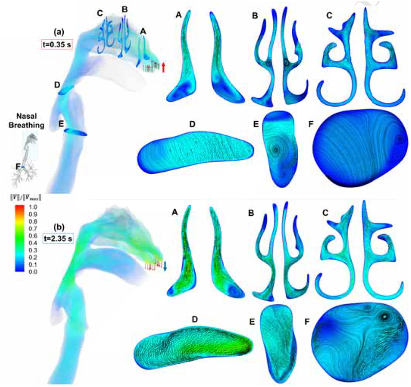 Figure 5: