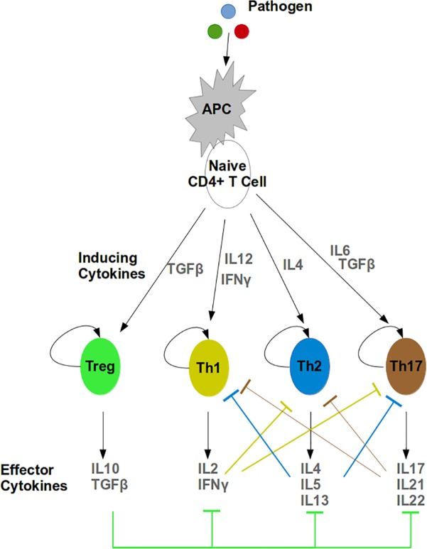 Fig 2