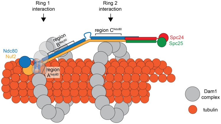 Figure 7.