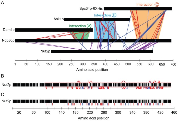 Figure 1—figure supplement 2.