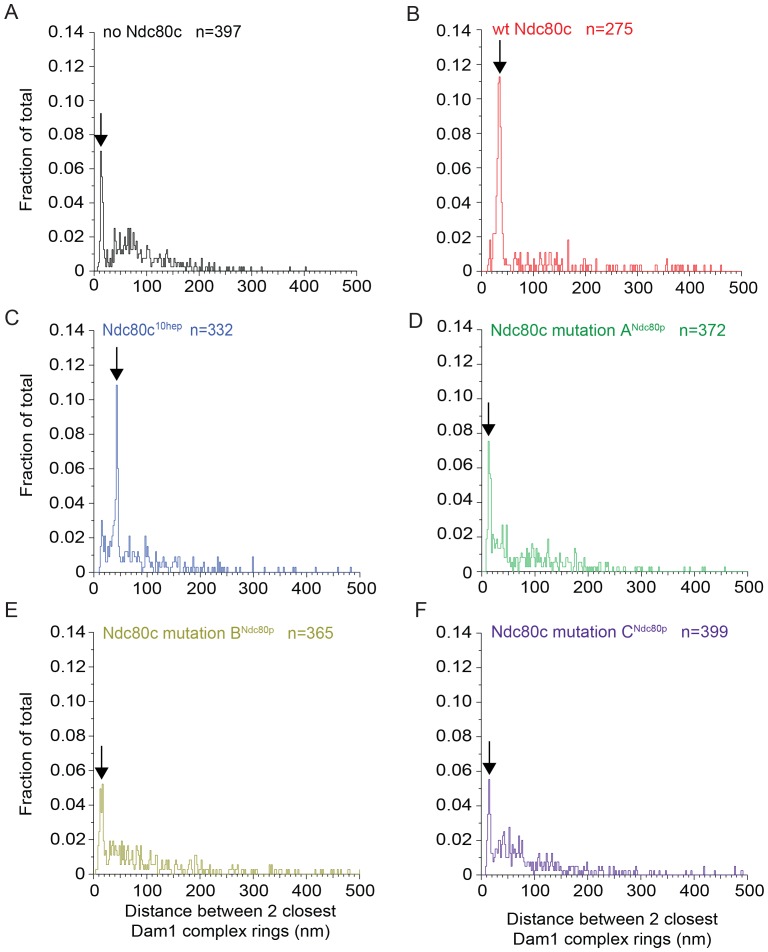 Figure 3—figure supplement 1.