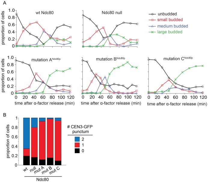 Figure 5—figure supplement 2.