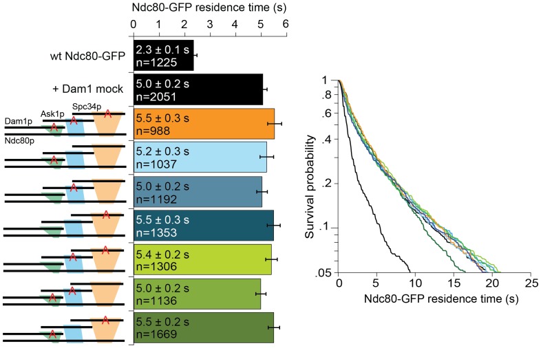 Figure 2—figure supplement 2.