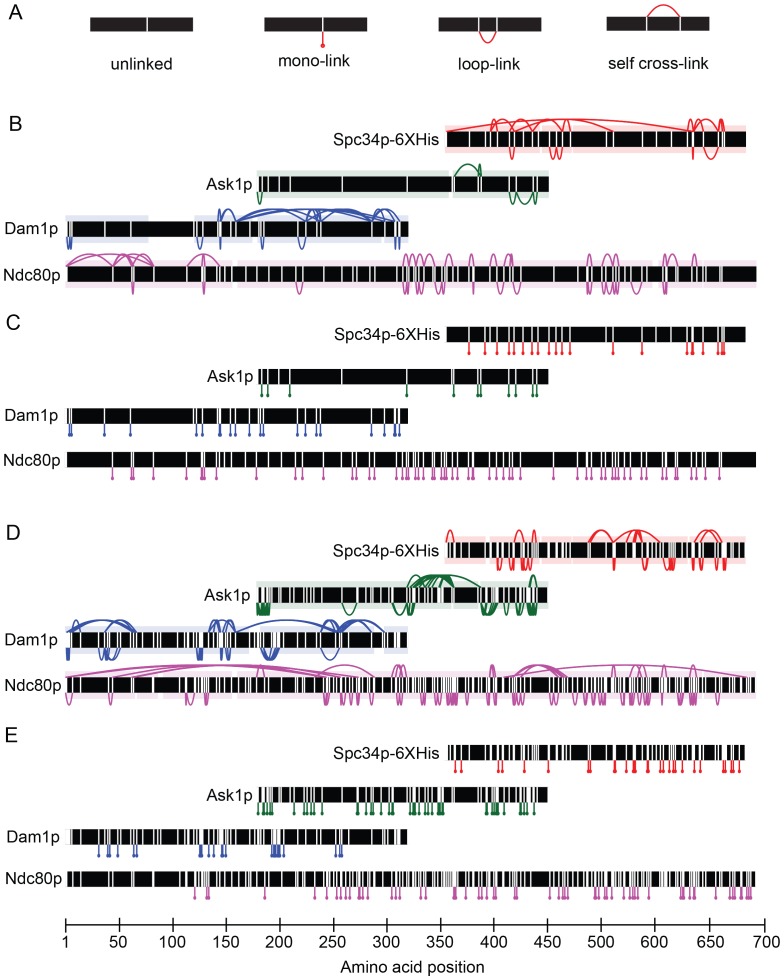 Figure 1—figure supplement 1.