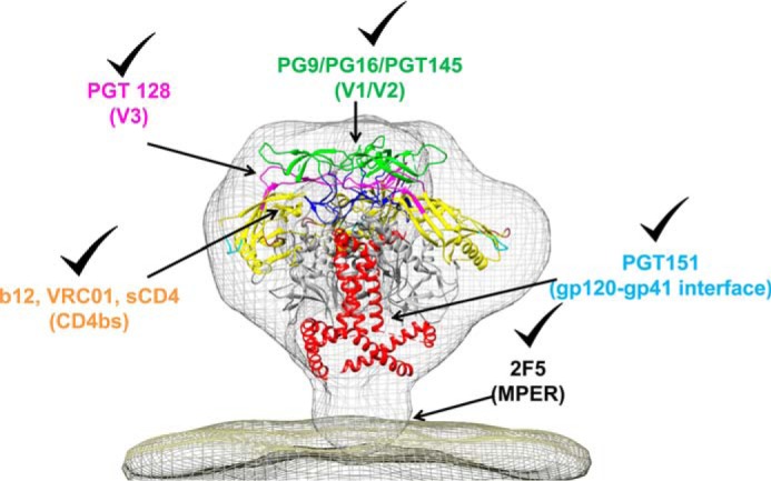 Figure 13.