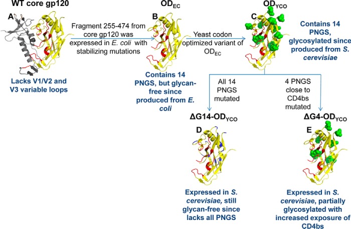 Figure 3.