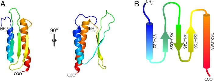 Fig. 2.