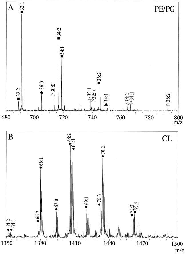 FIG. 3