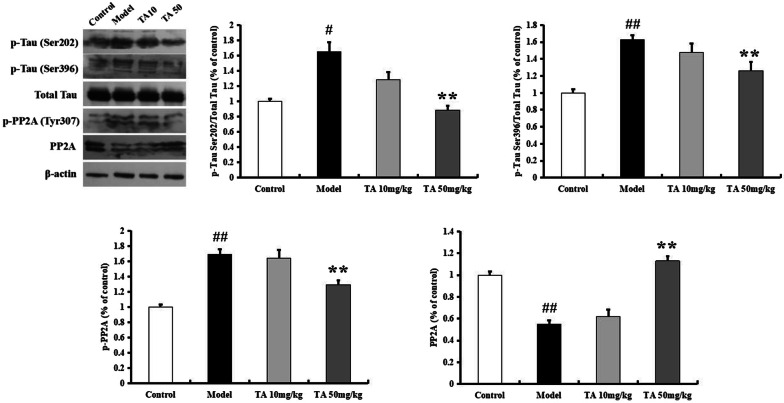 Fig. 7