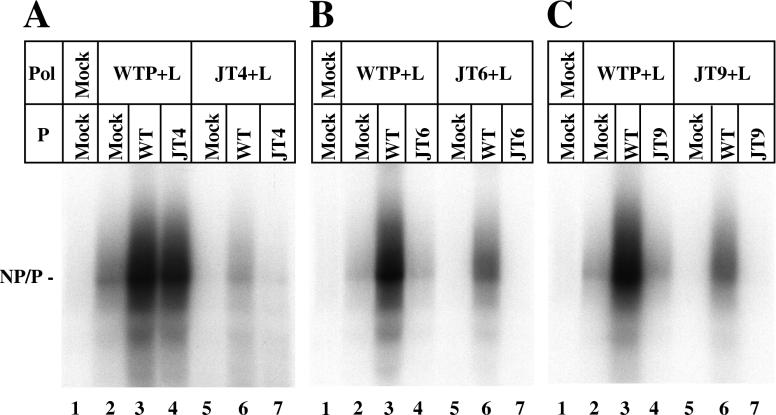 FIG. 2.