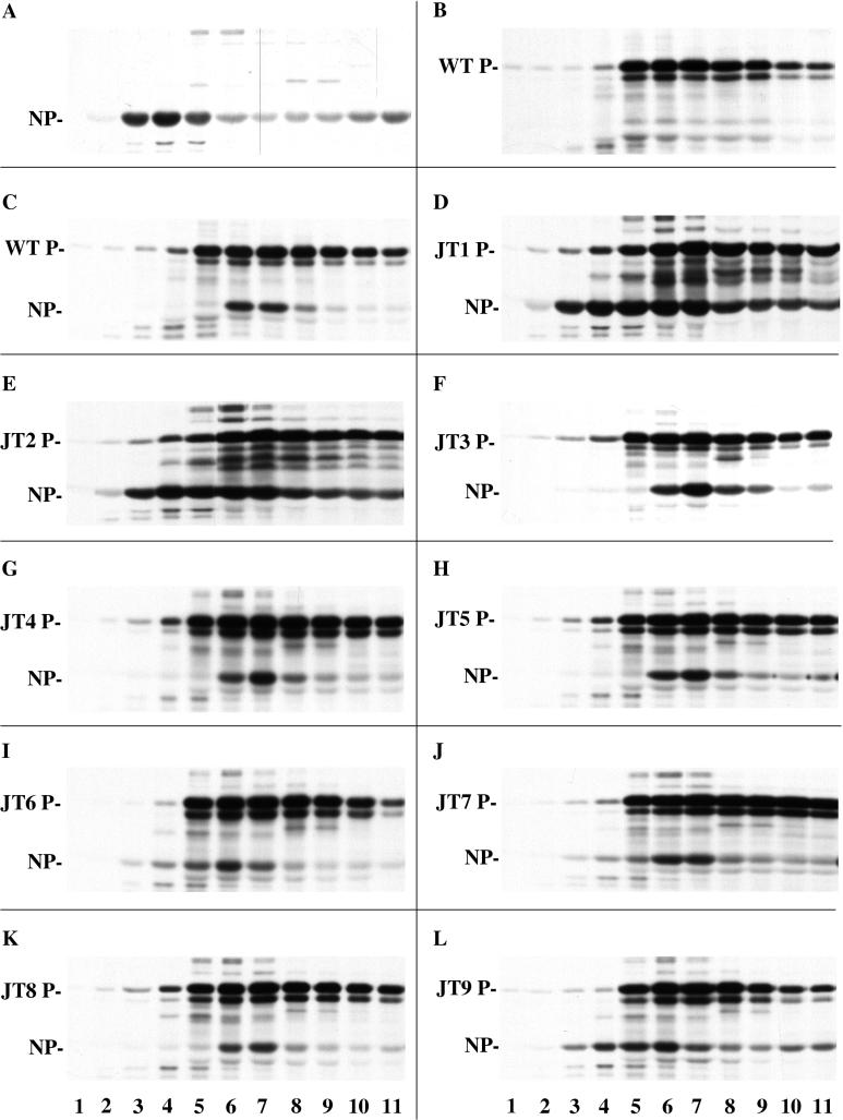 FIG. 7.