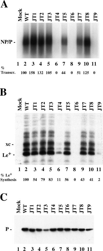 FIG. 1.