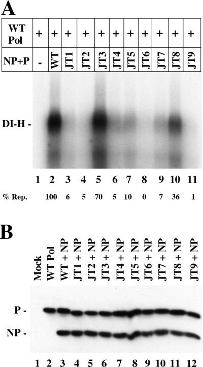 FIG. 5.