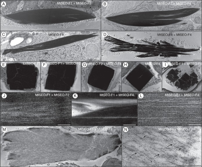 Fig. 8.