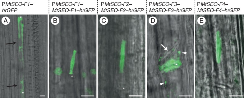 Fig. 4.