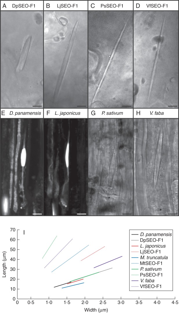 Fig. 3.