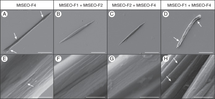 Fig. 7.