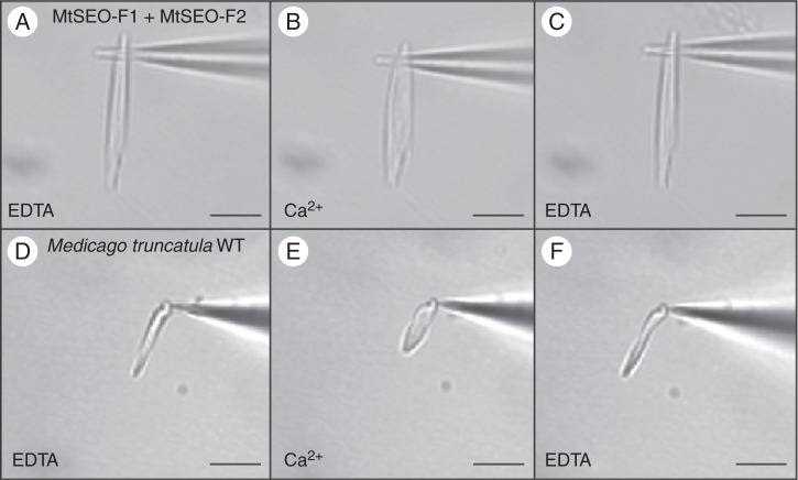 Fig. 6.