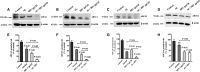 <b>FIG. 7.</b>