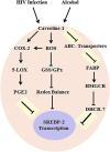 <b>FIG. 8.</b>