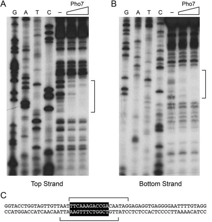 Figure 6.