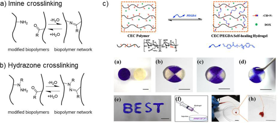 Figure 10.