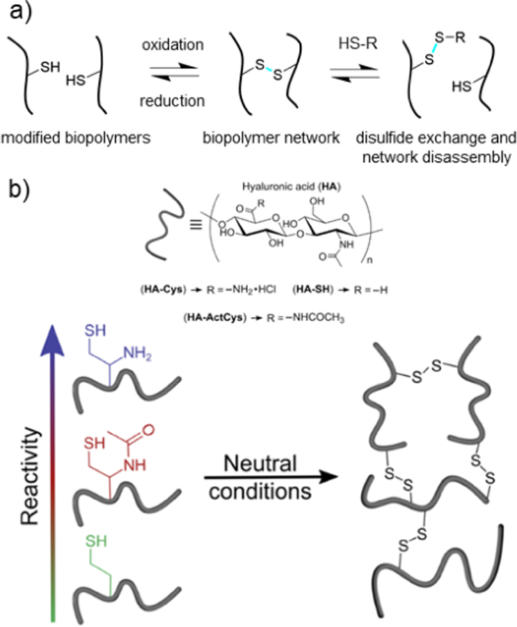 Figure 11.