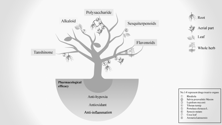 FIG. 3.