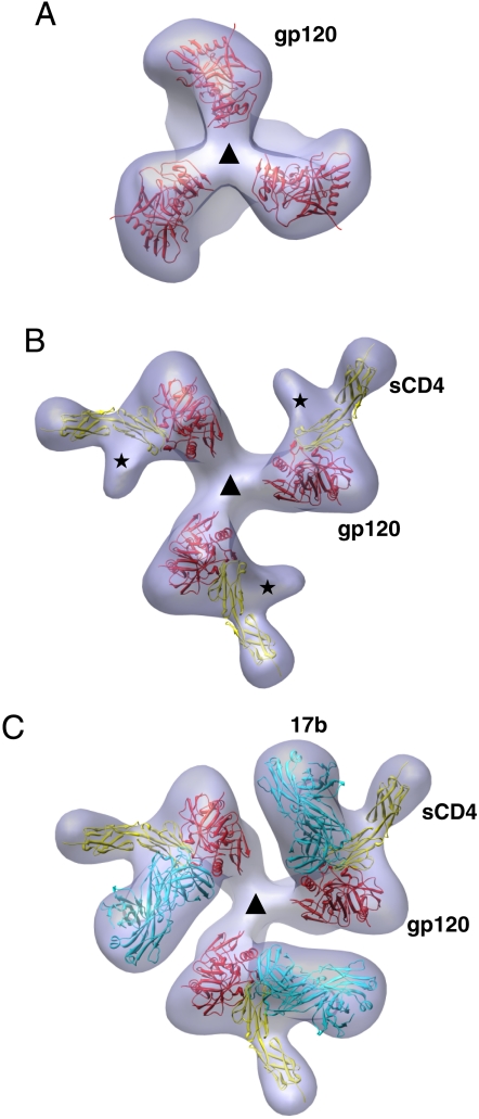 Fig. 5.