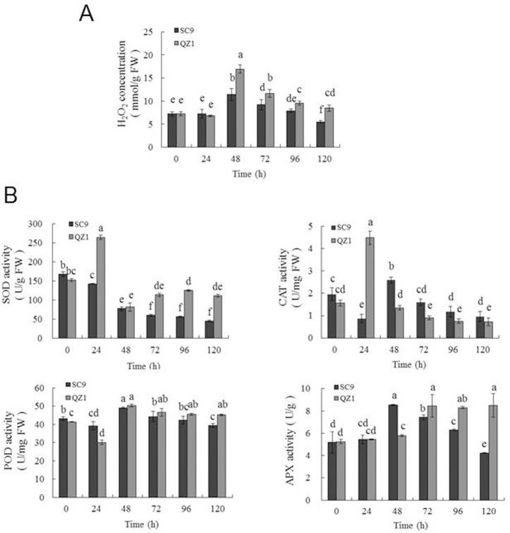 Fig 2