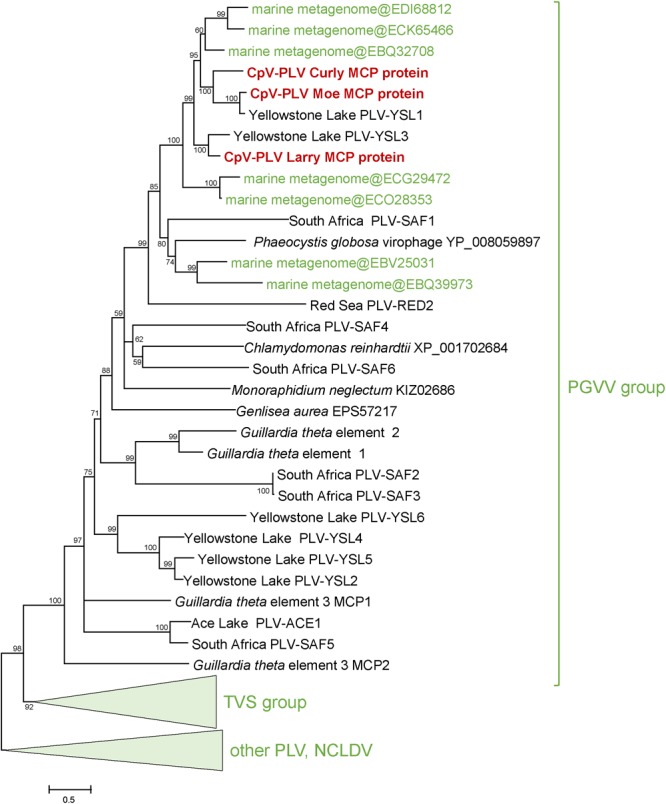 FIGURE 4