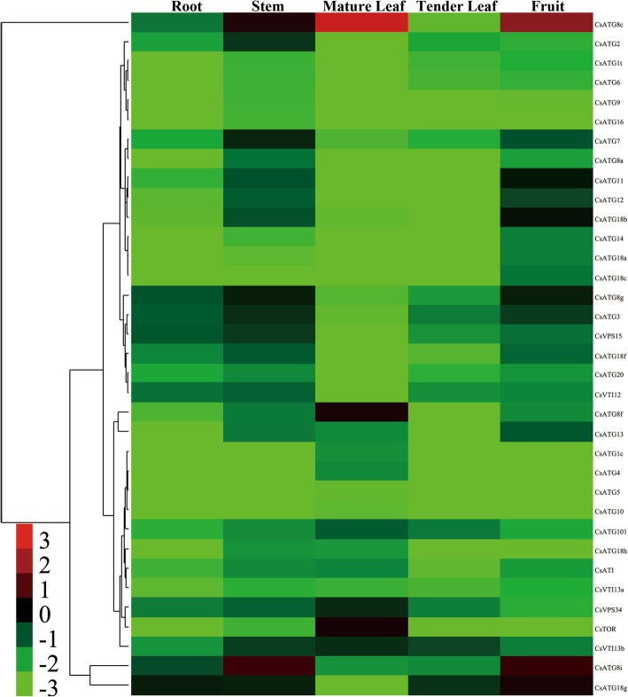 Fig. 4