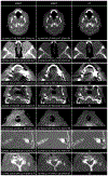 Fig. 6
