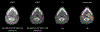 Fig. 9.