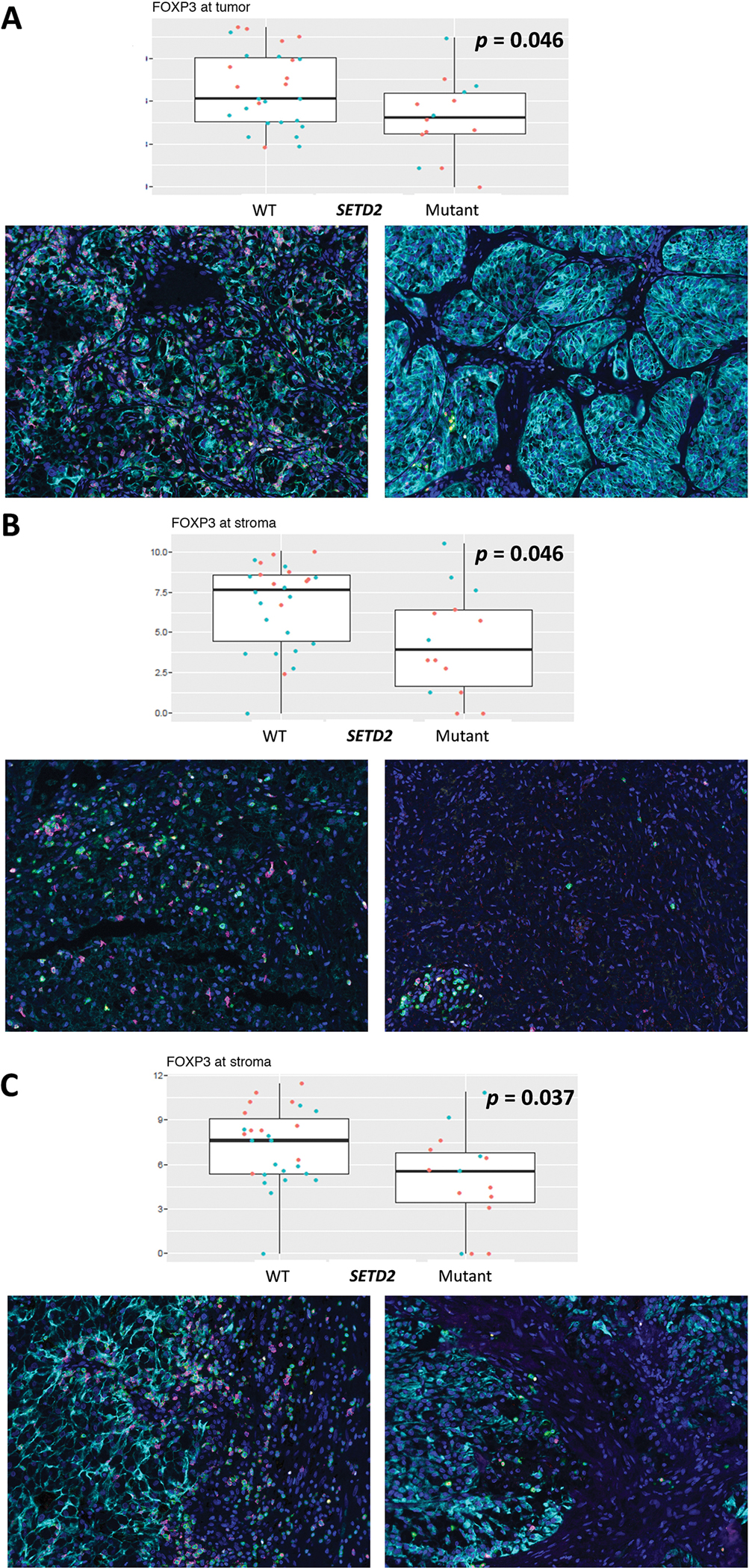 Fig. 2 –