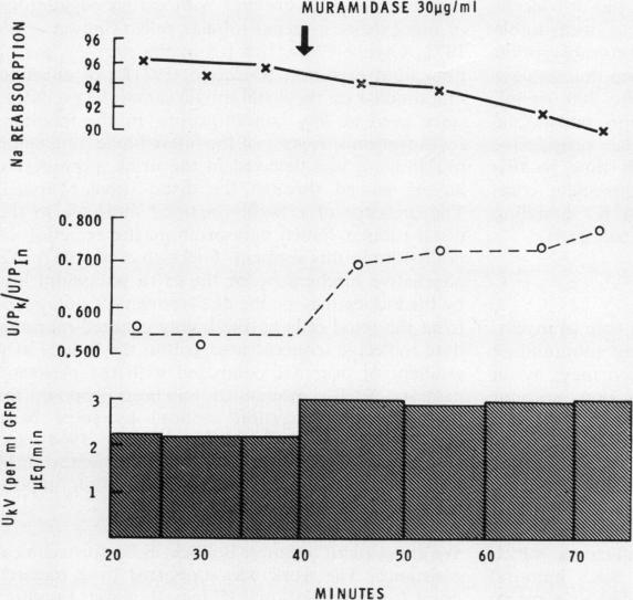 graphic file with name jclinpath00143-0037-a.jpg